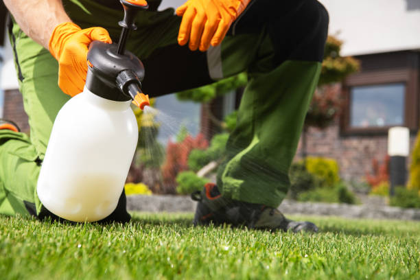 Best Best Pest Control Companies  in Northwood, IA