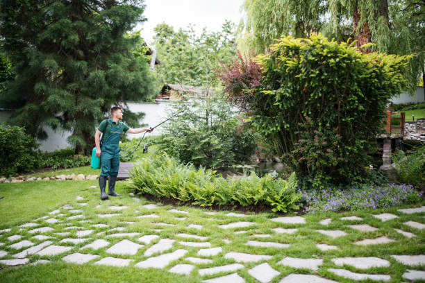 Best Pest Removal Services  in Northwood, IA