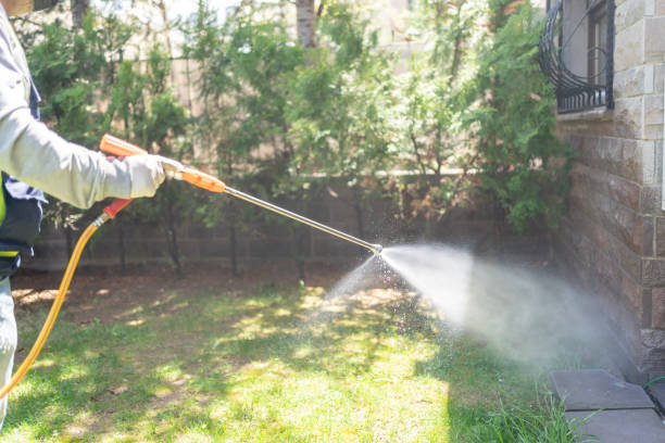 Best Best Pest Control Companies  in Northwood, IA