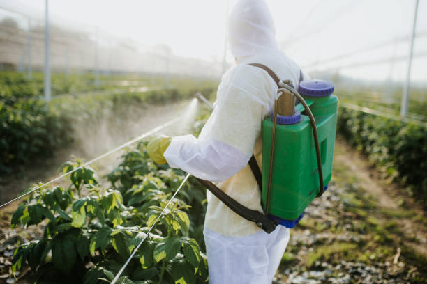 Northwood, IA Pest Control Company